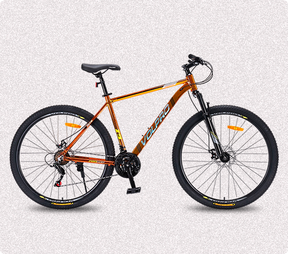 Bicicleta PRO 600