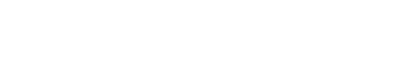 VOLPRO Logo